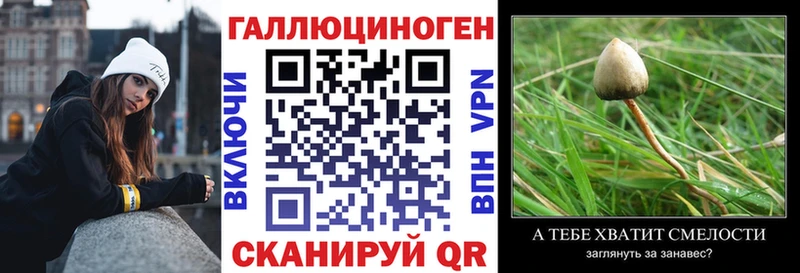Галлюциногенные грибы GOLDEN TEACHER  blacksprut как зайти  Павловская  купить наркоту 